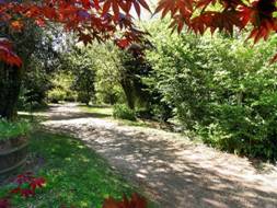 drive at little dene